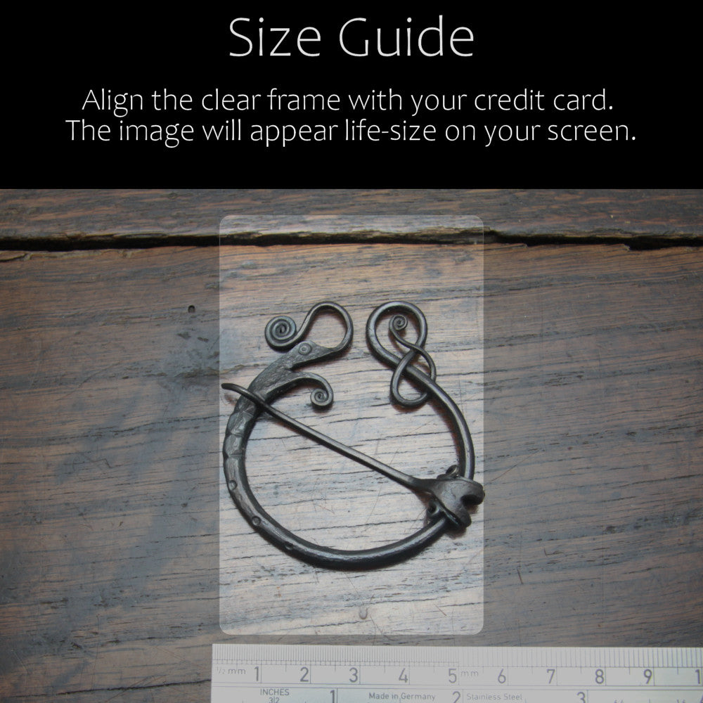 Iron Dragon Pennanular brooch